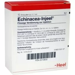 ECHINACEA INJEEL Ampoules, 10 pc