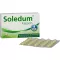 SOLEDUM 100 mg capsules gastro-résistantes, 50 pc