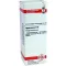 HYPERICUM Dilution D6, 20 ml