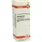 PHYTOLACCA Dilution D6, 20 ml