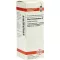 RHUS TOXICODENDRON Dilution D12, 20 ml