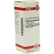 ROBINIA PSEUDACACIA Dilution D3, 20 ml