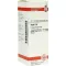 RUTA Dilution D6, 20 ml