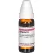 SPIGELIA Dilution D12, 20 ml