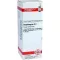 STAPHISAGRIA Dilution D4, 20 ml