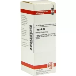 THUJA Dilution D12, 20 ml
