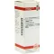 THUJA Dilution D12, 20 ml