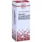 THUJA EXTERN Teinture, 20 ml