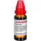 THUJA EXTERN Teinture, 20 ml