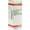 ABROTANUM Dilution D2, 20 ml