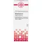 ABROTANUM Dilution D2, 20 ml