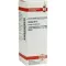 ARNICA Dilution D12, 20 ml