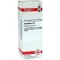 CAMPHORA Dilution D4, 20 ml