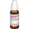 CAMPHORA Dilution D4, 20 ml