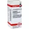 CAUSTICUM HAHNEMANNI D 6 globules, 10 g