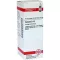 CONIUM Dilution D12, 20 ml
