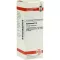 DULCAMARA Dilution D6, 20 ml