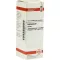 ECHINACEA HAB Teinture mère, 20 ml