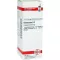 ECHINACEA HAB Dilution D2, 20 ml
