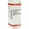 ECHINACEA HAB Dilution D6, 20 ml