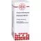 ECHINACEA HAB Dilution D6, 20 ml