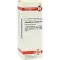 EQUISETUM ARVENSE Dilution D4, 20 ml