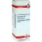HAMAMELIS Dilution D6, 20 ml