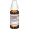 HARPAGOPHYTUM PROCUMBENS Dilution D3, 20 ml