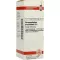 HARPAGOPHYTUM PROCUMBENS Dilution D6, 20 ml