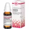 HARPAGOPHYTUM PROCUMBENS Dilution D6, 20 ml
