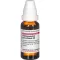 HARPAGOPHYTUM PROCUMBENS Dilution D6, 20 ml