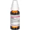 KALIUM CARBONICUM Dilution D12, 20 ml