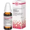 GNAPHALIUM POLYCEPHALUM Dilution D3, 20 ml
