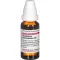 GNAPHALIUM POLYCEPHALUM Dilution D3, 20 ml