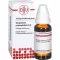 GNAPHALIUM POLYCEPHALUM Dilution D4, 20 ml