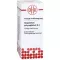GNAPHALIUM POLYCEPHALUM Dilution D4, 20 ml