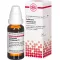 COLLINSONIA CANADENSIS Dilution J1, 20 ml