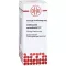 COLLINSONIA CANADENSIS Dilution D2, 20 ml