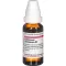 COLLINSONIA CANADENSIS Dilution D2, 20 ml
