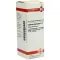 CARDUUS MARIANUS Dilution J1, 20 ml