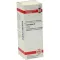 CALENDULA Teinture mère, 20 ml