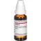 THUJA Teinture mère, 20 ml