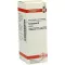 TARAXACUM Teinture mère, 20 ml