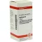 AGARICUS D 6 comprimés, 80 pc