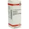 AESCULUS Dilution D6, 20 ml