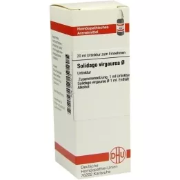 SOLIDAGO VIRGAUREA Teinture mère, 20 ml