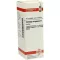 SOLIDAGO VIRGAUREA Teinture mère, 20 ml