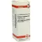 SOLIDAGO VIRGAUREA Dilution D3, 20 ml