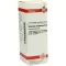 SOLIDAGO VIRGAUREA Dilution D6, 20 ml