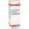 SABAL SERRULATUM Dilution J1, 20 ml